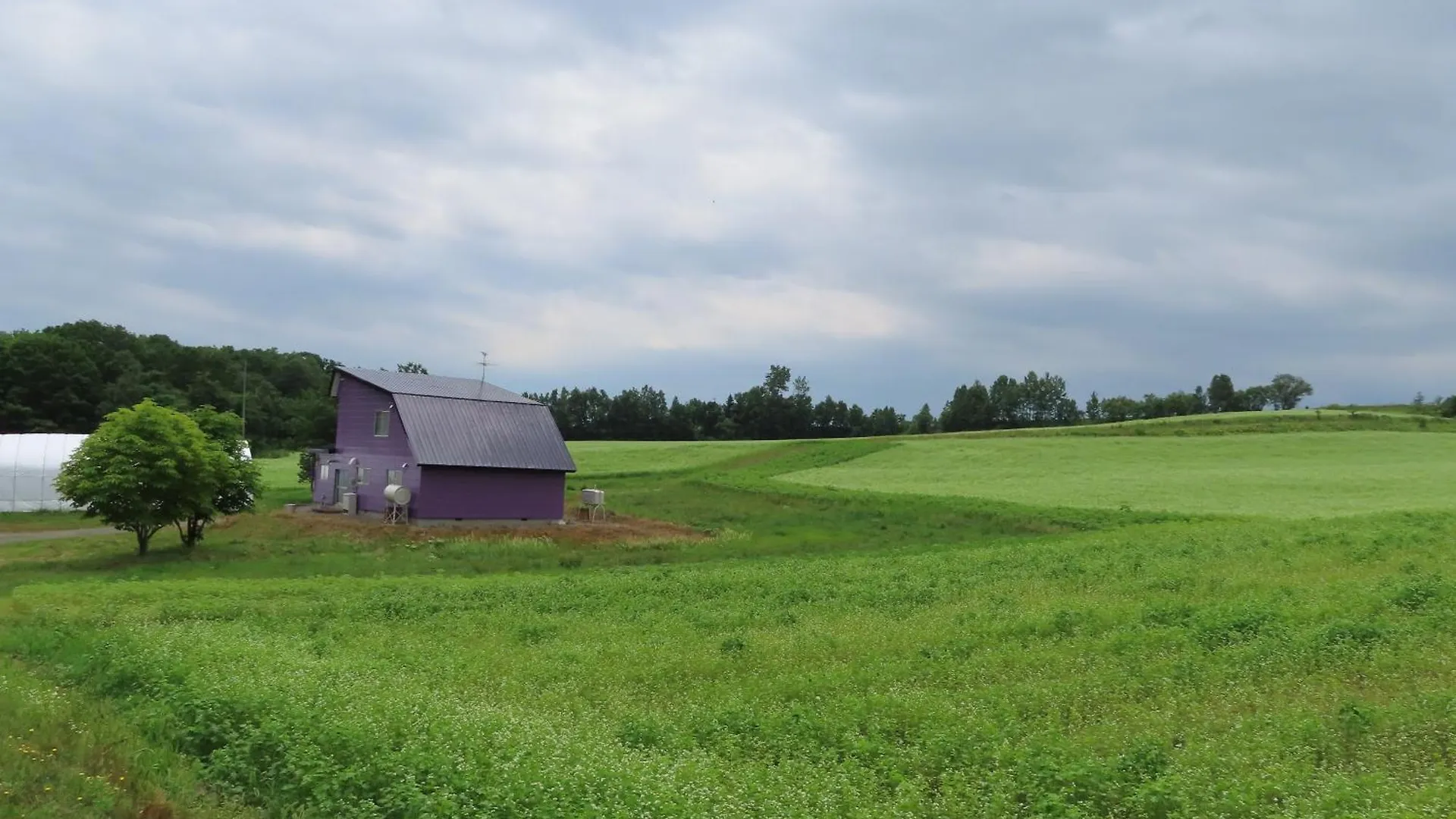 Cottage Clover Biei Vakantiehuis